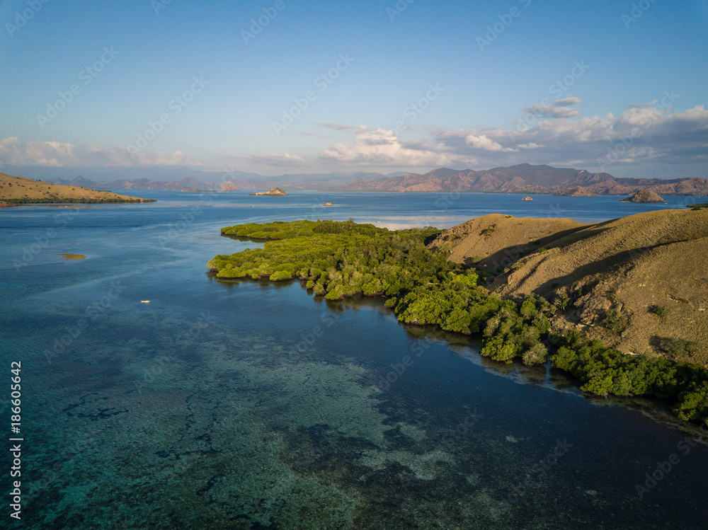 Fototapeta premium Komodo Island Landscape 1