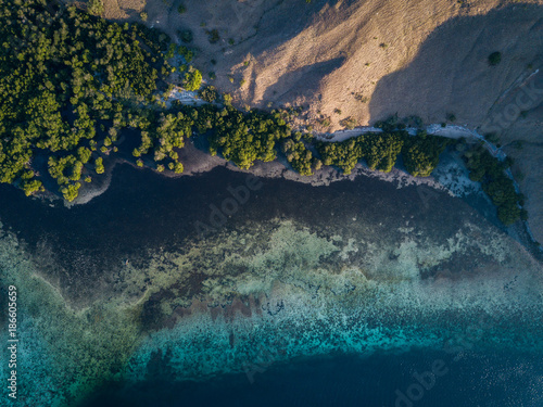 Komodo Island Shoreline