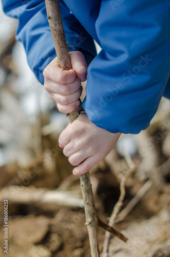 child's hands hold a wooden stick © kobolia