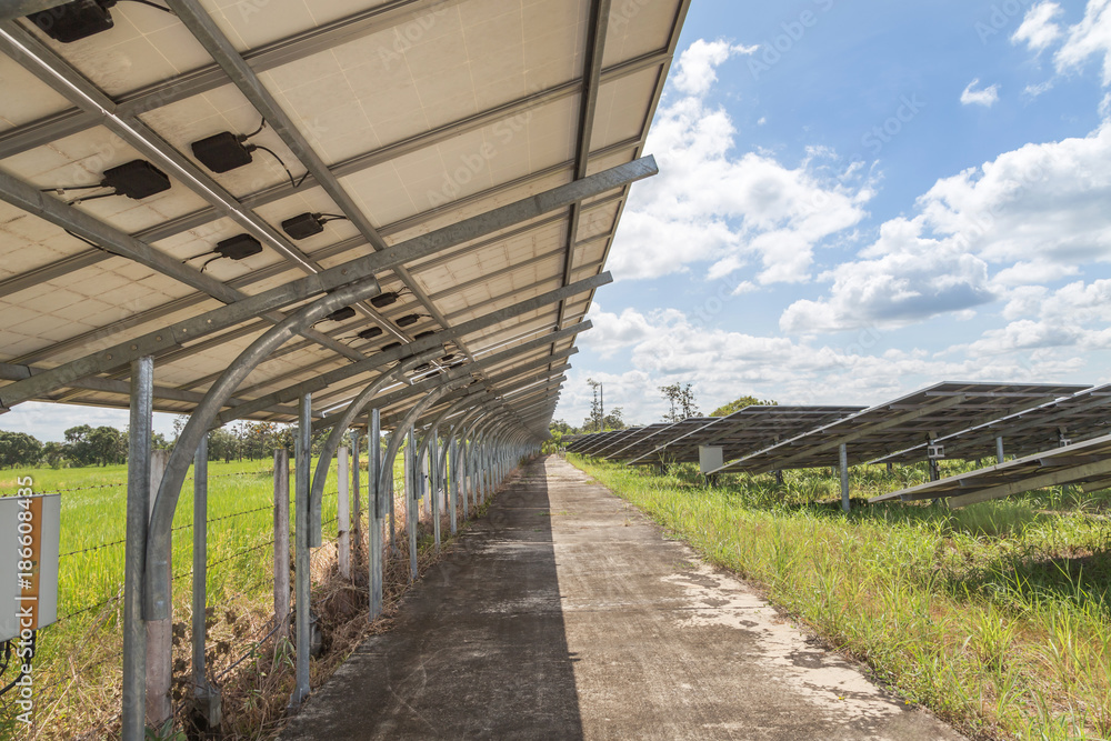 rows of back side view photovoltaics solar panels in solar power station alternative energy from the sun rows of back side view photovoltaics solar panels in solar power station alternative energy from the sun