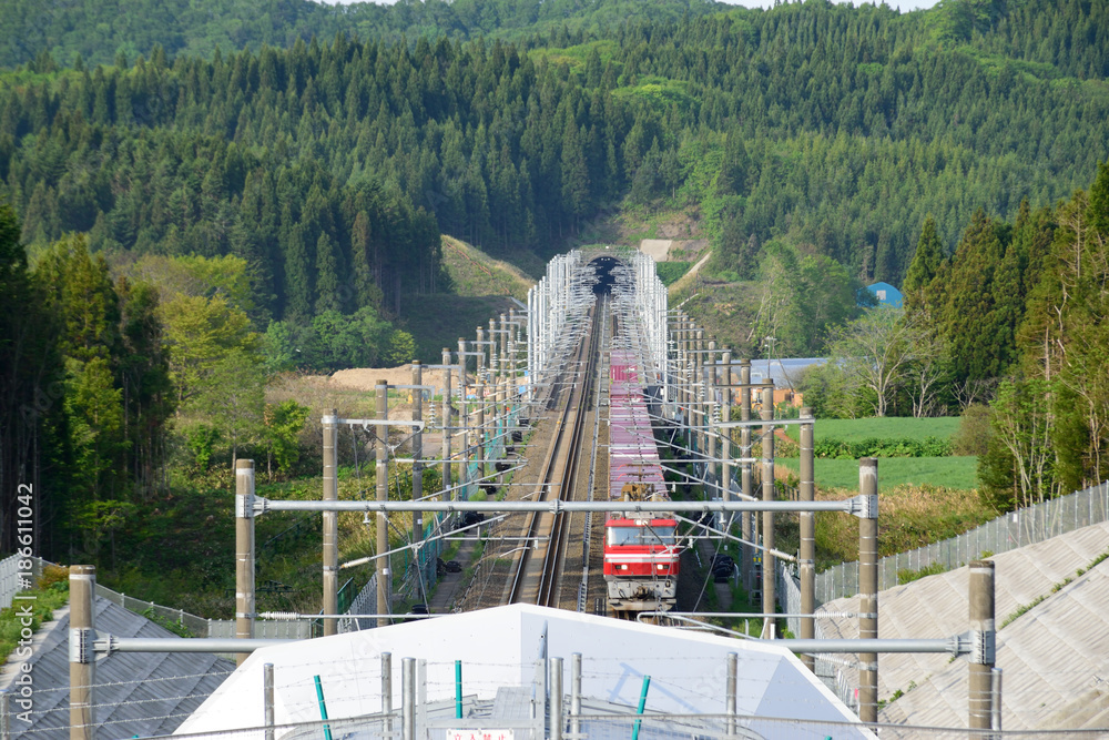 Fototapeta premium 貨物列車