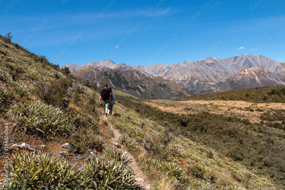 Tourists on walking trail, Canterbury, New Zealand