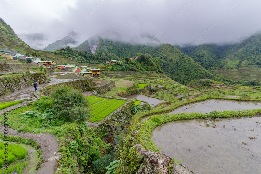 beautiful landscape  Batad rice terrace  in Banaue,