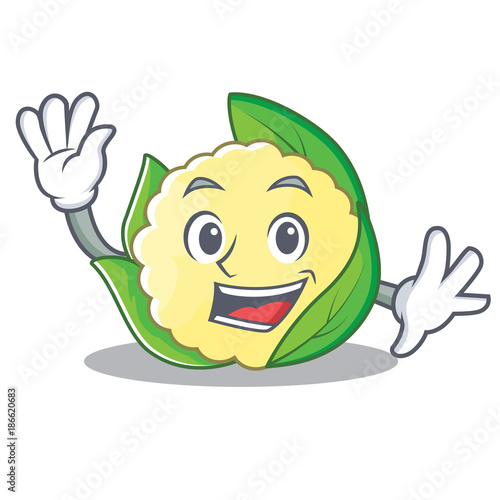 Waving cauliflower character cartoon style