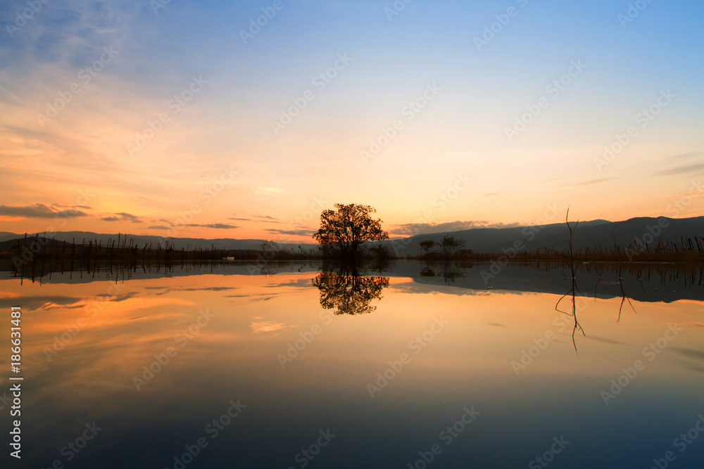 lake at sunset with one tree on the middle metaphor lonely life, sadness, climate change, broken heart concept.