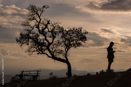 silhouette man standing under the tree in sunset time.