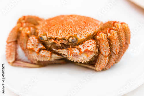 Cooked hairy crab (kegani in Japanese) or horsehair crab served whole on a white plate at a Japanese restaurant