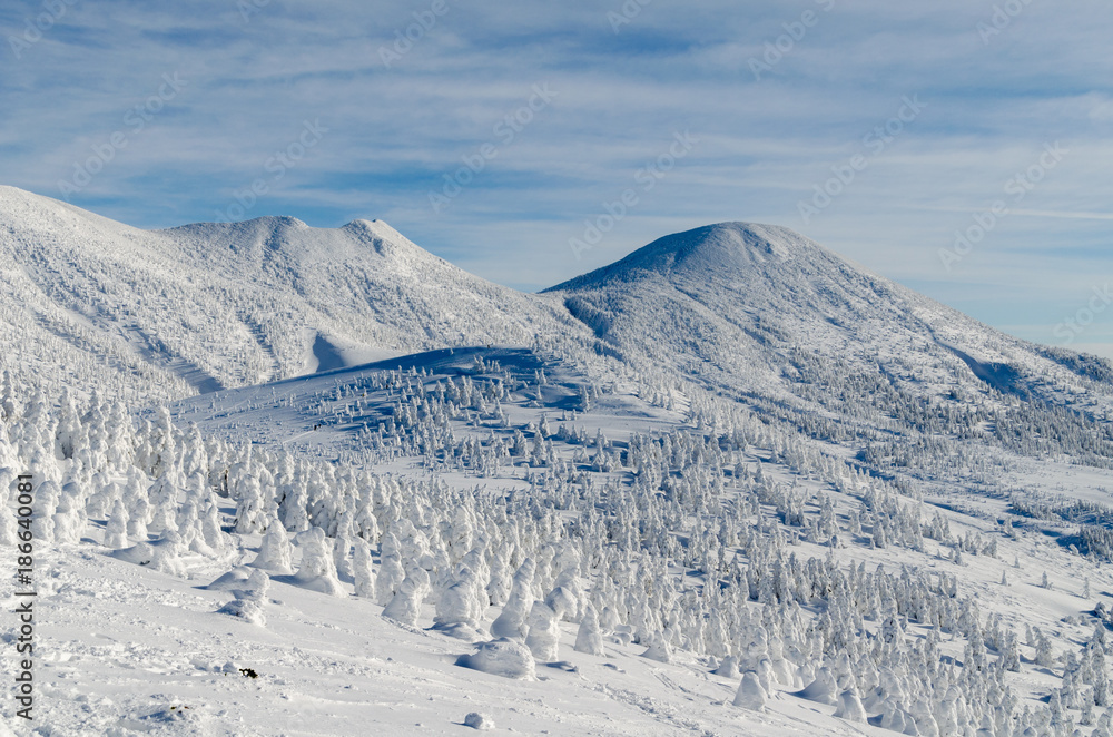 Fototapeta premium 冬の八甲田山