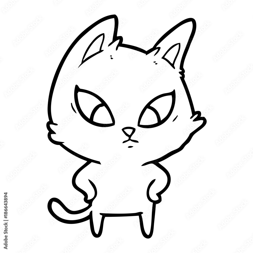 confused cartoon cat confused cartoon cat