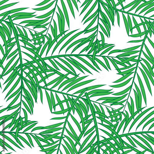 Fototapeta Naklejka Na Ścianę i Meble -  Seamless pattern with palm tree green leaves on white background.