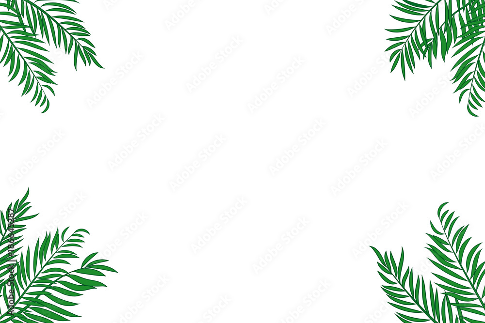Green palm tree leaves isolated on white background with space for text.