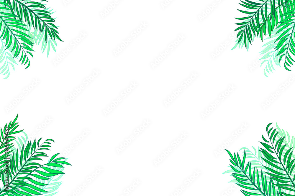 Green palm tree leaves isolated on white background with space for text. Green palm tree leaves isolated on white background with space for text.