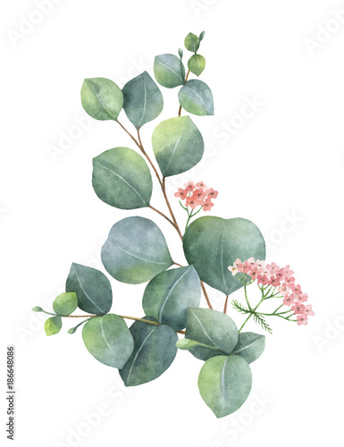 Fototapeta Watercolor vector bouquet with green eucalyptus leaves and branches