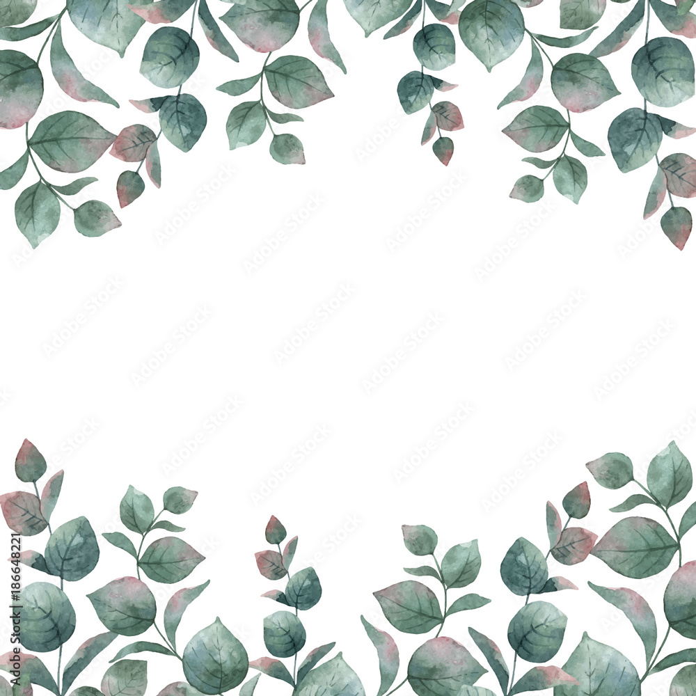 Watercolor vector green floral card with silver dollar eucalyptus leaves and branches isolated on white background.