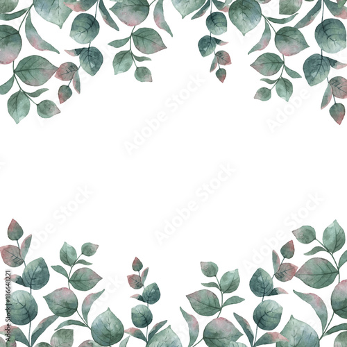 Watercolor vector green floral card with silver dollar eucalyptus leaves and ...
