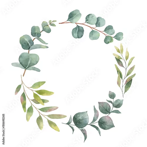 Naklejka na ścianę Wieniec wektor akwarela z zielonych liści eukaliptusa i gałęzi.