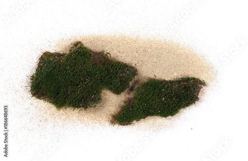 Green moss and sand pile isolated on white background, top view