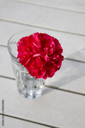 Fototapeta Naklejka Na Ścianę i Meble -  Red carnation on a glass of water. Table decoration