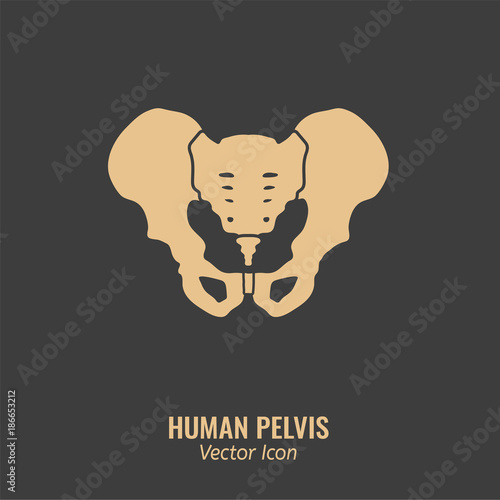 Human Pelvis Icon