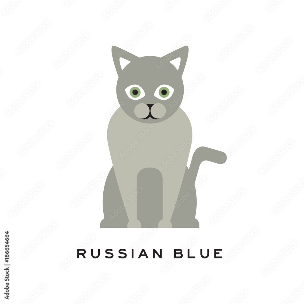 Russian blue cat. Adorable short-haired feline with gray coat, intelligent muzzle and big green eyes. Purebred domestic animal. Flat vector for zoo store logo