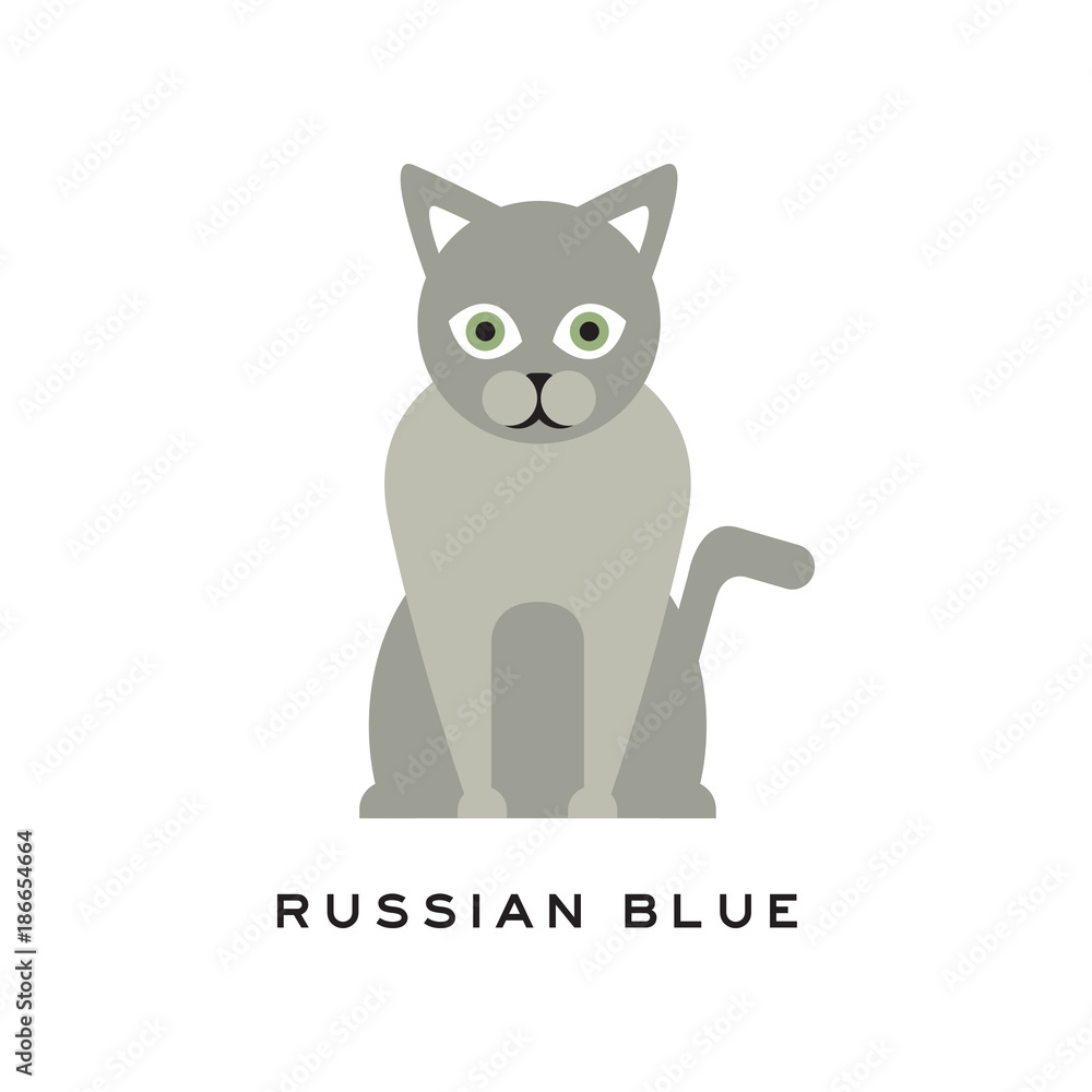 Russian blue cat. Adorable short-haired feline with gray coat, intelligent muzzle and big green eyes. Purebred domestic animal. Flat vector for zoo store logo Russian blue cat. Adorable short-haired feline with gray coat, intelligent muzzle and big green eyes. Purebred domestic animal. Flat vector for zoo store logo
