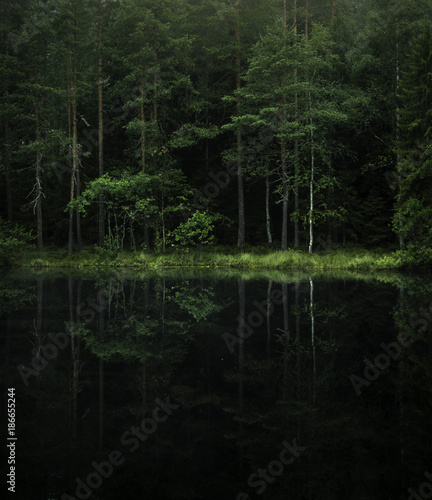 Misty lakeside views and reflections