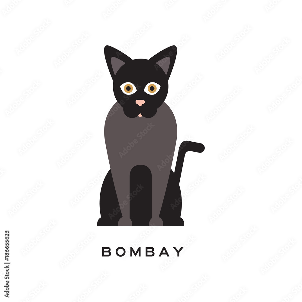 Fototapeta Elegant bombay cat. Type of short-haired feline with black coat, pink nose and brown eyes. Cartoon character of purebred domestic animal. Flat vector design