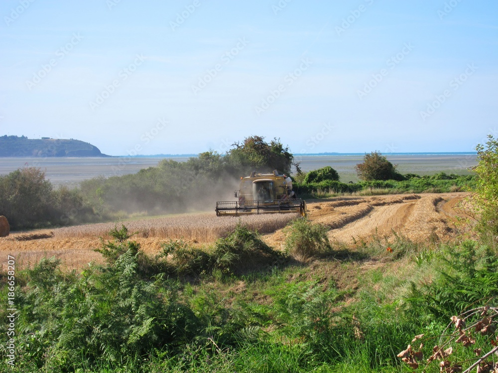 HILLION, FRANCE-AUGUST 13, 2017 straw and combine harvester in HILLION, FRANCE-AUGUST 13, 2017 straw and combine harvester in