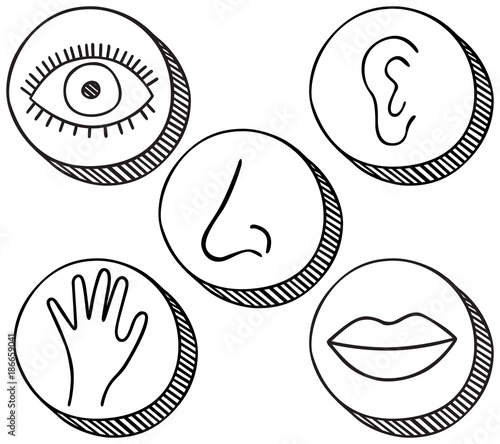 Five senses icons
