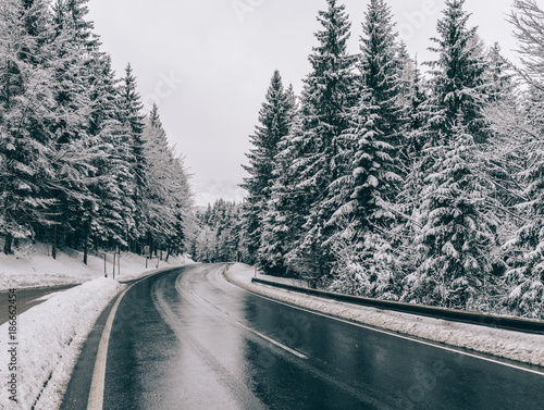 Winter road. Country road through forest. Travel concept. © Laszlo