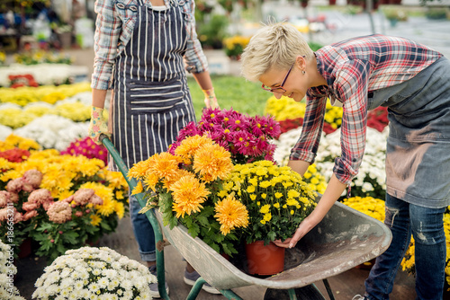 Two professional happy beautiful florist women sorting flowers and pots from a cart outside of the market.