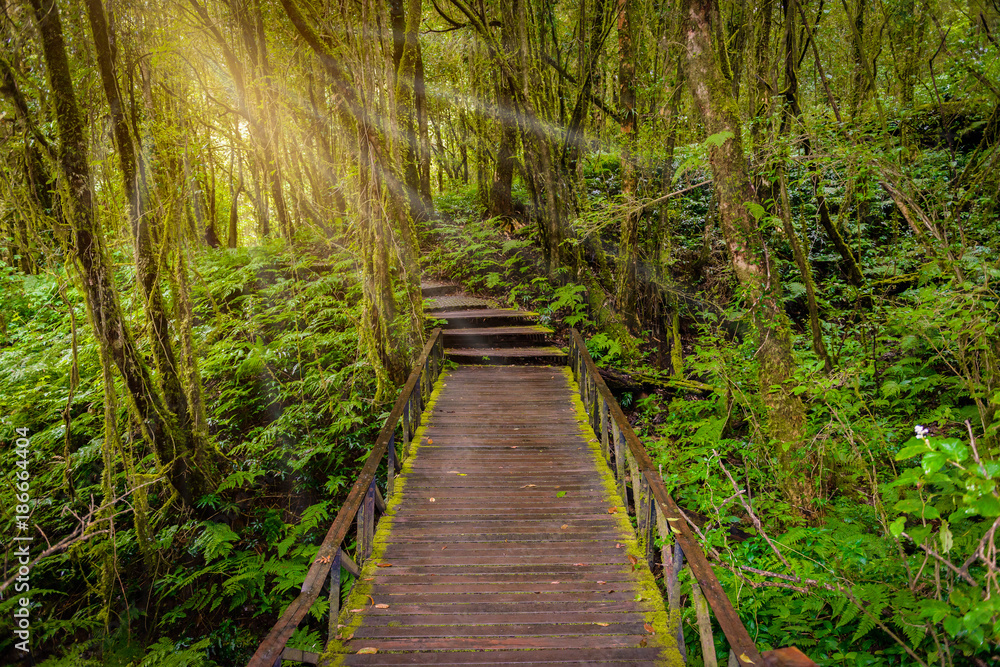 Ang Ka Luang Nature Trail Ang Ka Luang Nature Trail