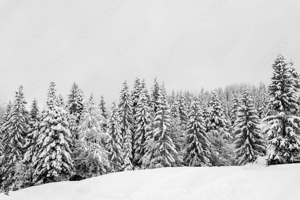 paysage en hiver