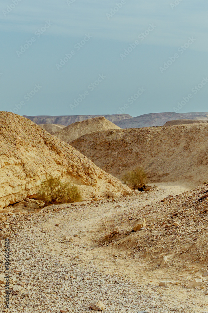View on dry desert sunny land near dead sea in Israel