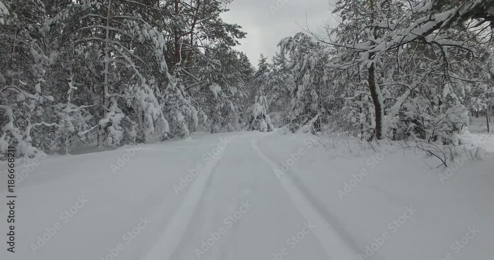 Aerial Forest Road In Winter Time.Car Driving On Snowy Road.Driving Through Snow Covered Forest And Tree.Top View Curvy Road On.Aerial Car Driving Through Snowy Pine Winter Wood.Snow On Trees Branches Aerial Forest Road In Winter Time.Car Driving On Snowy Road.Driving Through Snow Covered Forest And Tree.Top View Curvy Road On.Aerial Car Driving Through Snowy Pine Winter Wood.Snow On Trees Branches