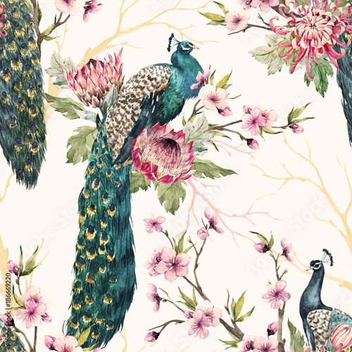 Watercolor peacock pattern