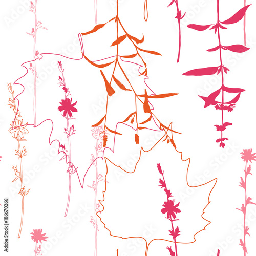 Summer flowers, herbs and leaves floral vector seamless pattern. Realistic botanical background with hand drawn chicory flowers, maple leaves and herbal grasses.
