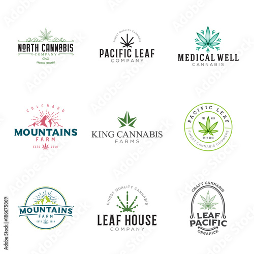 Set of marijuana cannabis leaf logo, labels. Modern vintage logo for recreation and medical use. Several leaf illustrations, hand drawn, geometric, stylized.
