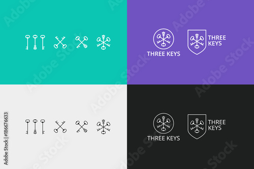vector logo with keys and shields
