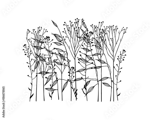 Hand drawn meadow grass