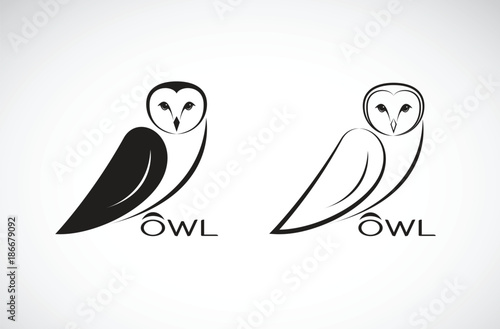 Vector of an owl design on white background. Bird. Wild Animals. Vector illustration.