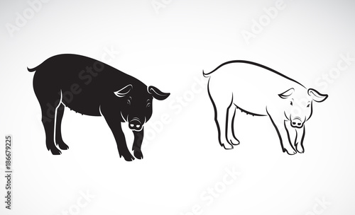 Vector of a pig on white background. Farm Animals. Vector illustration.