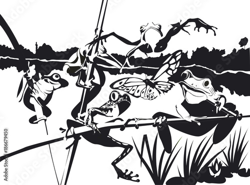 5 grenouilles chassent un papillon