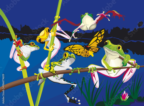 5 grenouilles et un papillon