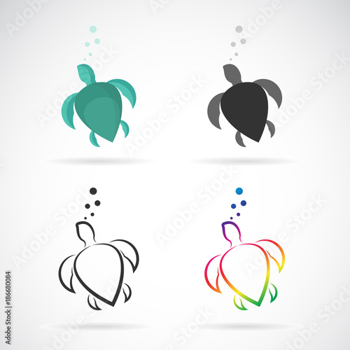 Vector of a turtle design on white background. Reptile. Animals. Vector illustration.