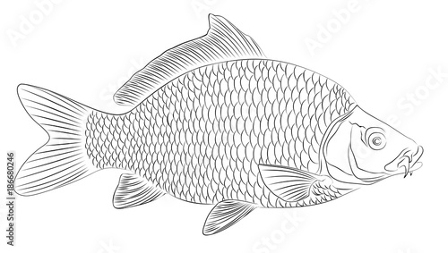 Рисунок морской рыбы