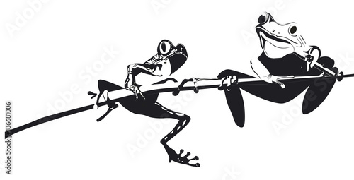 deux grenouilles sur une branche en noir et blanc