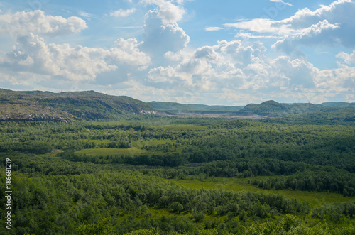 Valley and low hills covered with forest .
