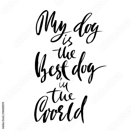 My dog is the best dog in the world. Hand drawn dry brush lettering. Ink illustration. Modern calligraphy phrase. Vector illustration.