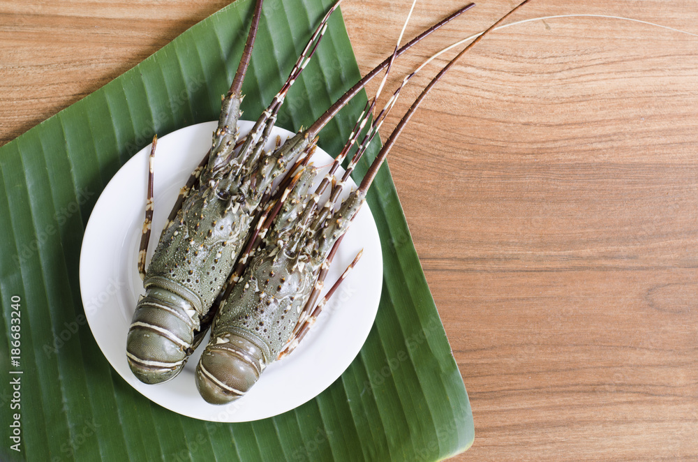 fresh lobster for cook and Thai chilli